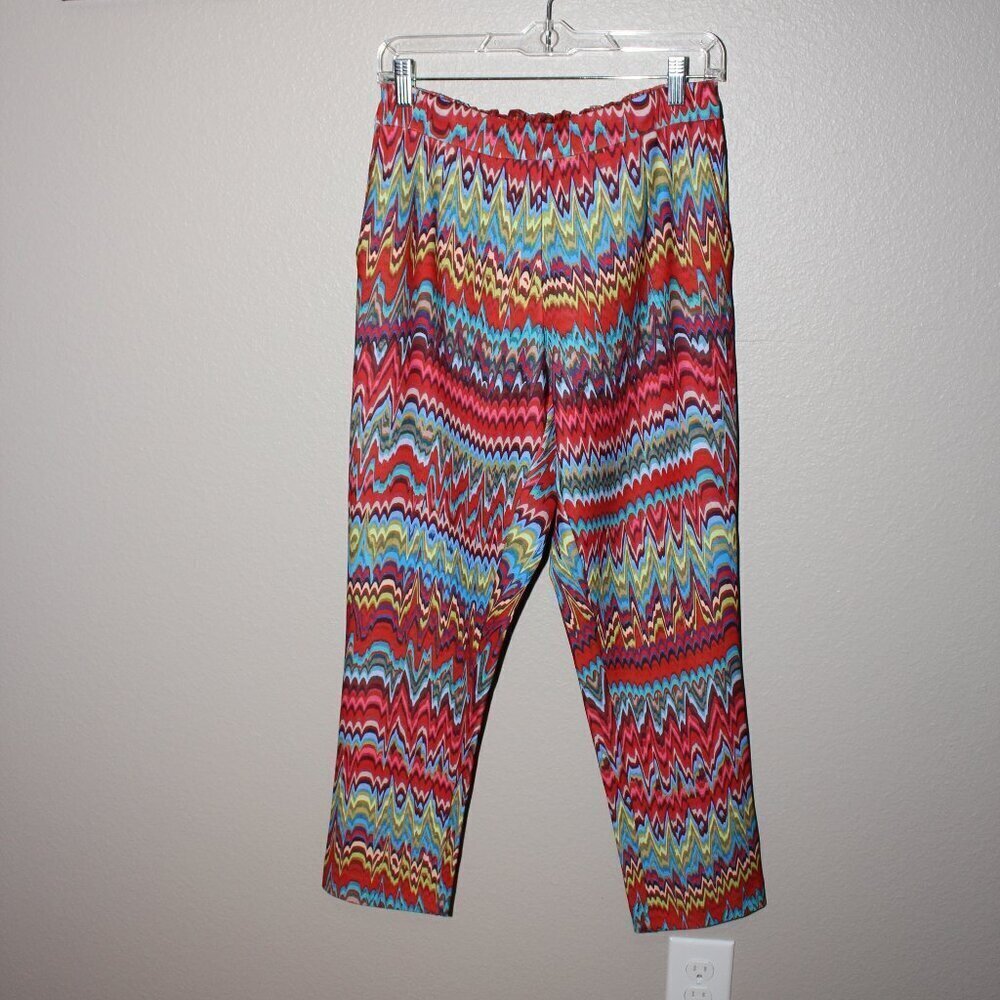 Robert Graham Womens Dani Stretch Scuba Cropped Multi Color Print Pants Size 4